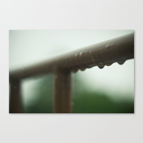 Brown Canvas Print