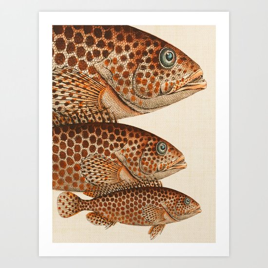 Fish Classic Designs 6 Art Print