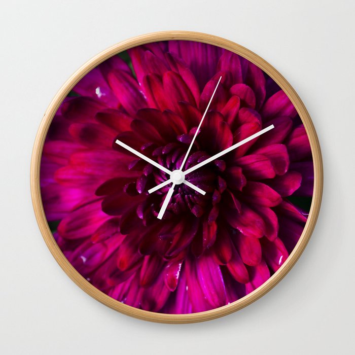 Magenta Dahlia Flower Macro Wall Clock