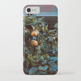 Oranges in the Courtyard iPhone Case
