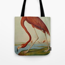 American Flamingo by John Audubon (1785 – 1851) Reproduction. Tote Bag