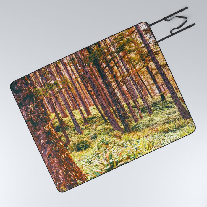 Pnw Forest | Nature Photography in Oregon Picnic Blanket