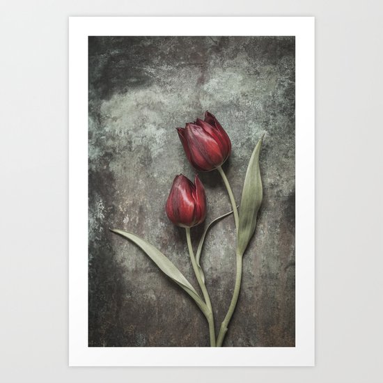 Red Tulips Art Print