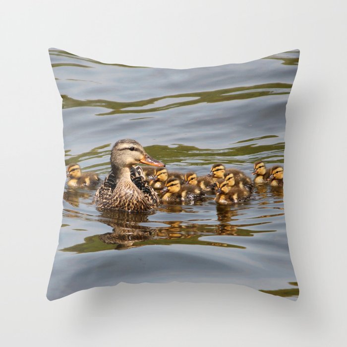 Mallard Duck And Ducklings Throw Pillow By Sjkramer001 Society6