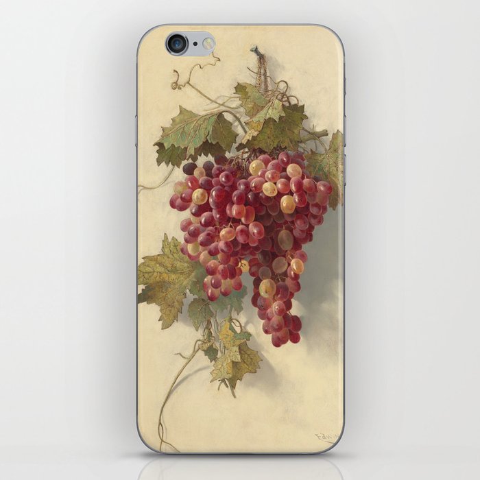  Grapes Against White Wall - Edwin Deakin iPhone Skin