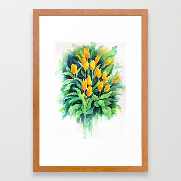 Yellow Tulips Watercolor Painting Framed Art Print By Ackermandena