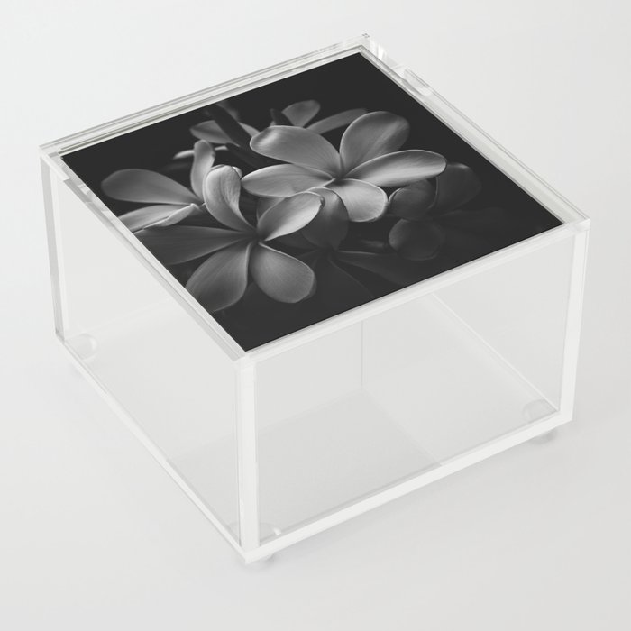 Plumeria Botanical Dreamer Acrylic Box