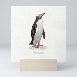 Yellow-eyed penguin art print Mini Art Print