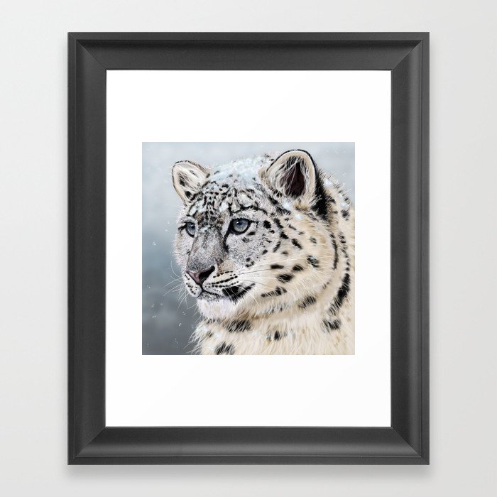 Snow Leopard Framed Art Print