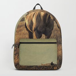 Dusk Backpack