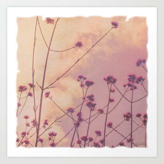 Vintage Pink Wildflowers with Dusty Purple Sky Background Art Print
