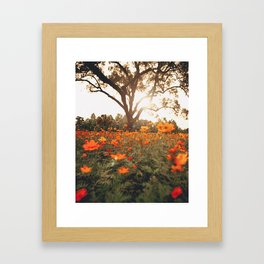Field of Flowers Framed Art Print