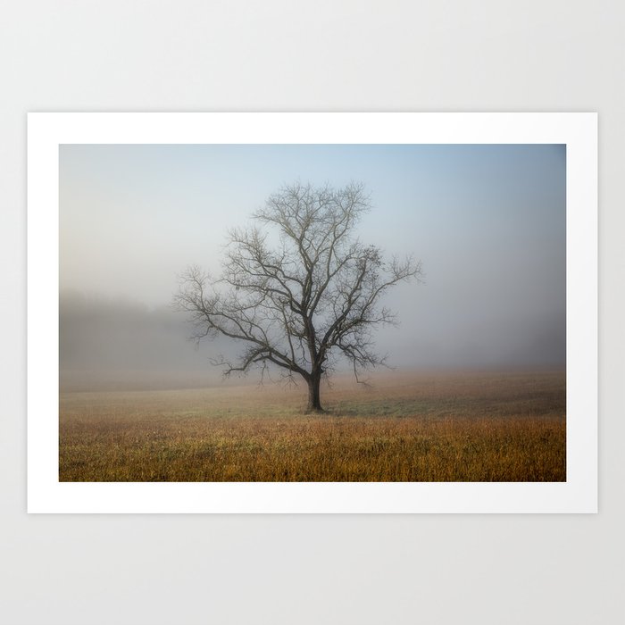 In a Fog - Single Tree on Foggy Morning in the Great Smoky Mountains Art Print