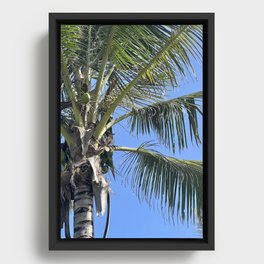 Coconut Tree Framed Canvas