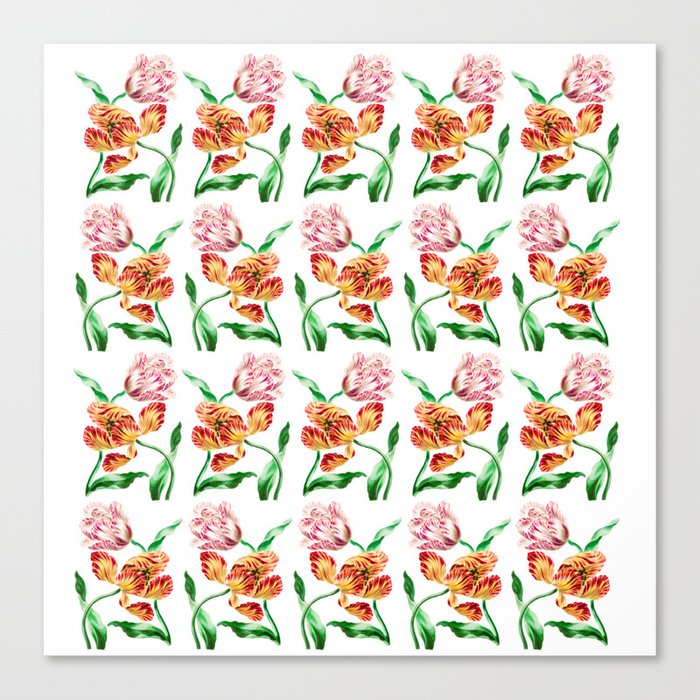 Various Tulips Canvas Print