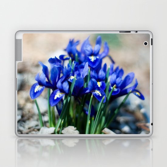 Iris Watercolor Laptop & iPad Skin