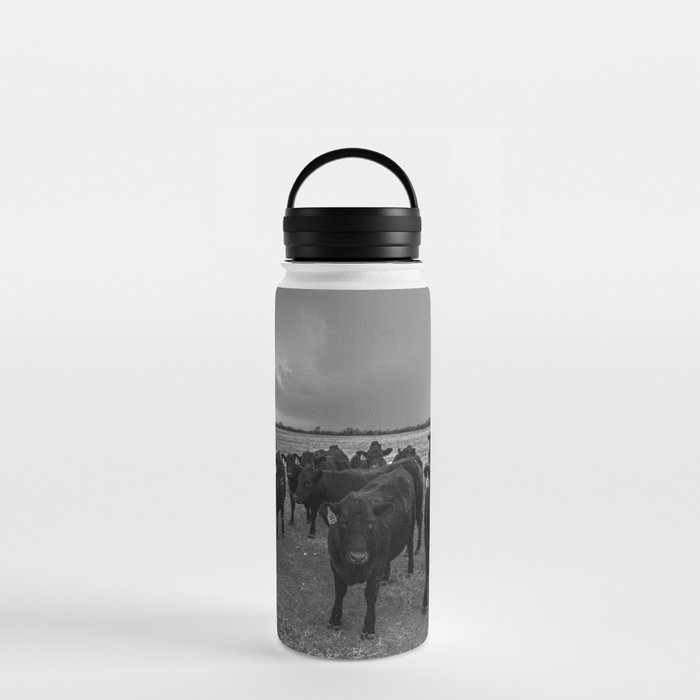 Hanging Out - Black and White Photo of Cows in Kansas Water Bottle