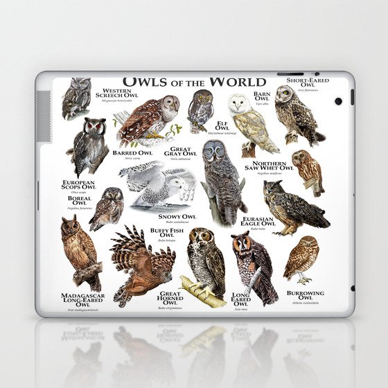 Owls of the World Laptop & iPad Skin