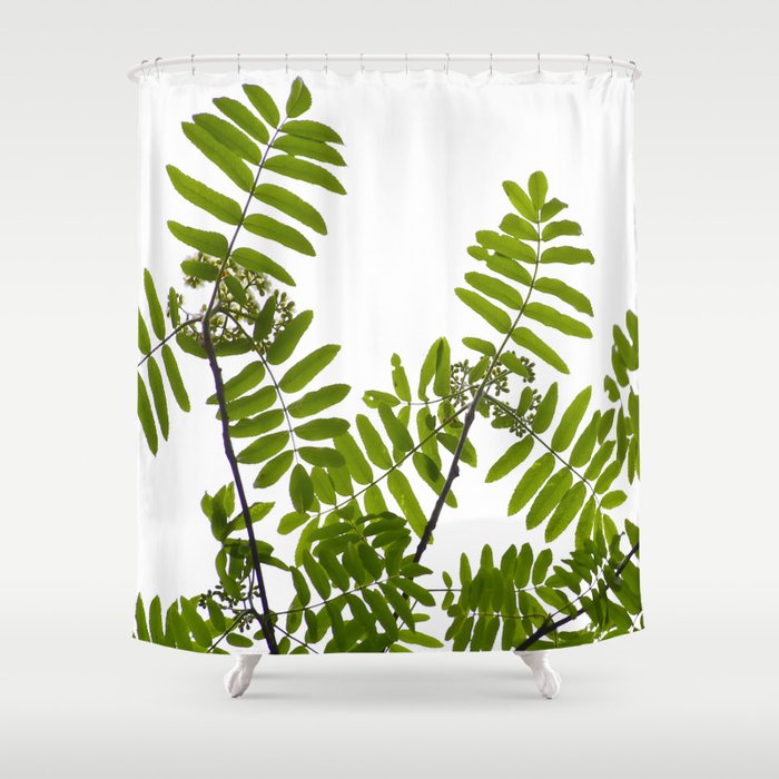 Green Rowan Leaves White Background #decor #society6 #buyart Shower Curtain