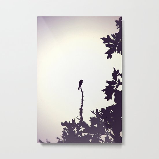 Music of the Night Metal Print
