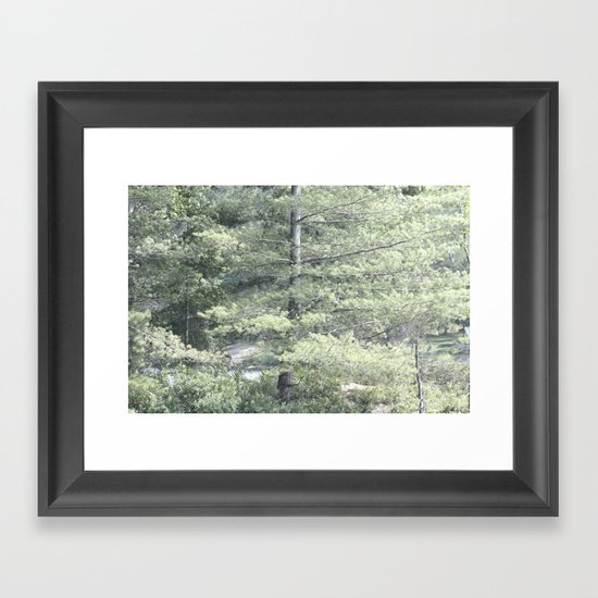 Room To Grow Framed Art Print