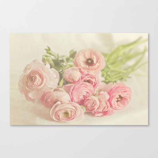 Soft & Delicate Canvas Print