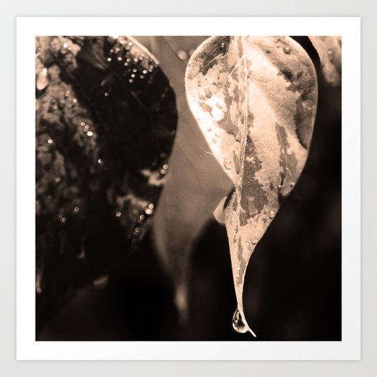 Droplet Art Print