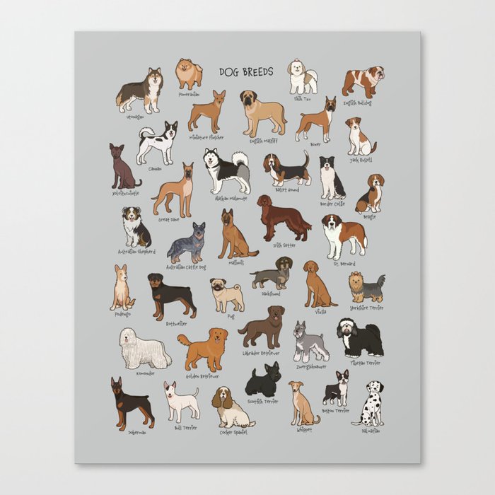 Canine Companions: Illustrated Dog Breed Showcase Canvas Print