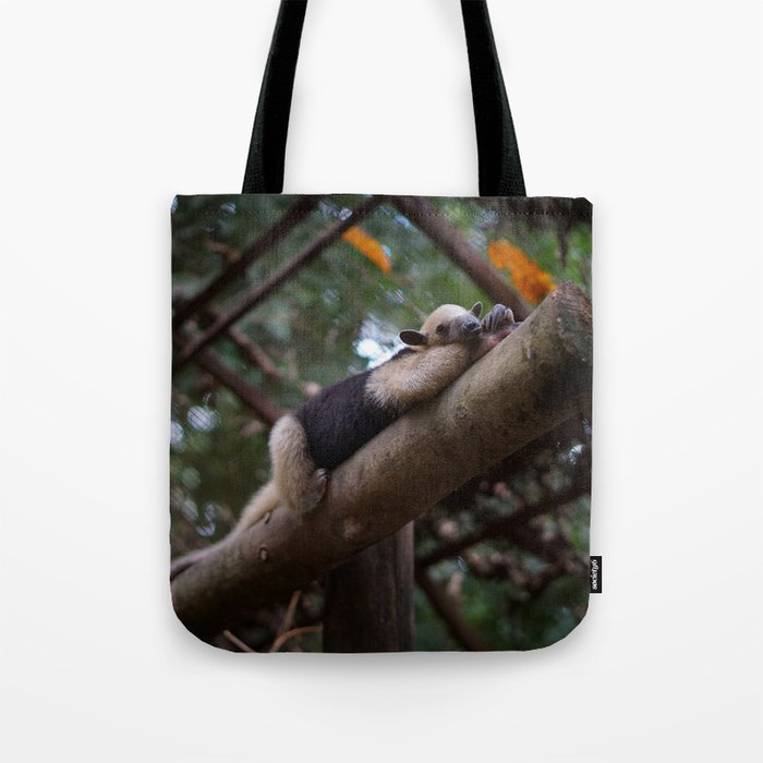 A sleeping mini anteater at Alturas Sanctuary in Costa Rica Tote Bag