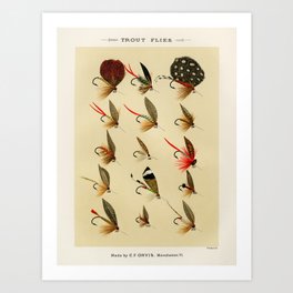 Illustrated Trout Fishing Flies Chart from Favorite Flies and Their Histories  Art Print