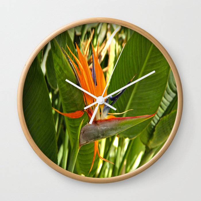 Bird Of Paradise Wall Clock