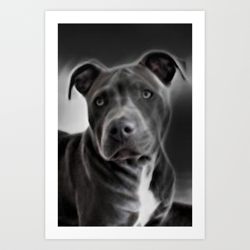 pit bull lover a portrait of a beautiful blue nose pit bull art print by angiestimson