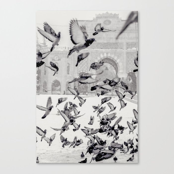Canvas Print
