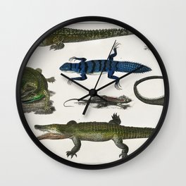 Collection of Various Reptiles Wall Clock