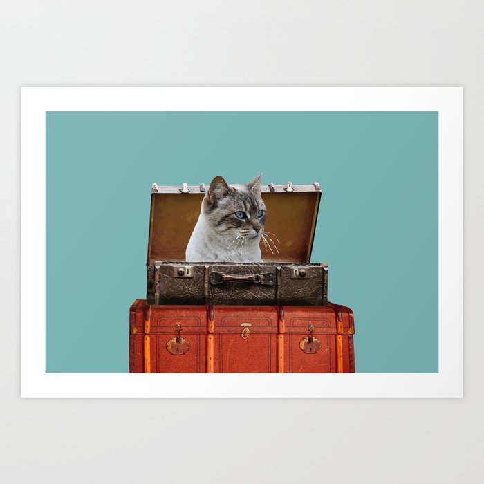 Grey white Cat sitting in old suitcase Art Print