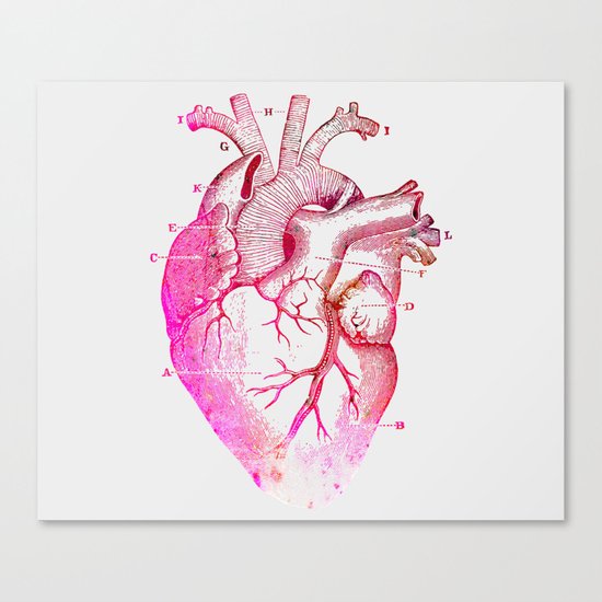 Anatomy Of The Heart Canvas Print