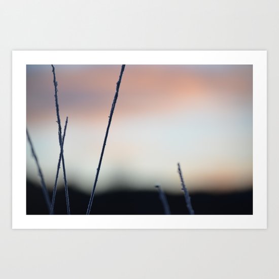 Sunrise Art Print