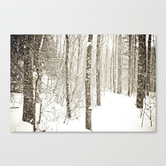 Wintry Mix Canvas Print