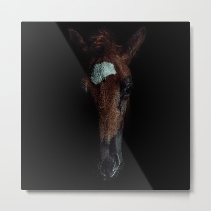 Horse In The Dark Metal Print