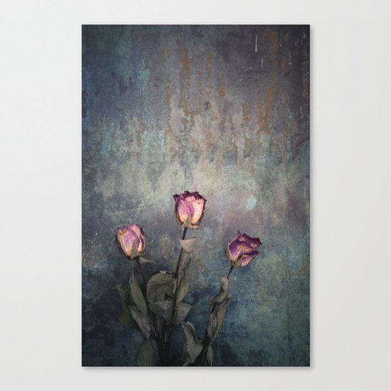 Three Dried Roses III Canvas Print