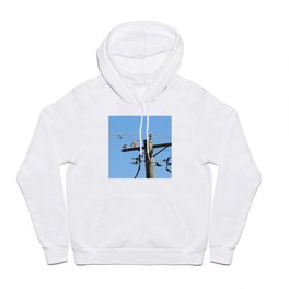 Red Tailed Hawk on Telephone Pole 3 Hoody | Sky, Power, Cable, Voltage, Lines, Energy, Blue, Bird, Electrical, Raptor 