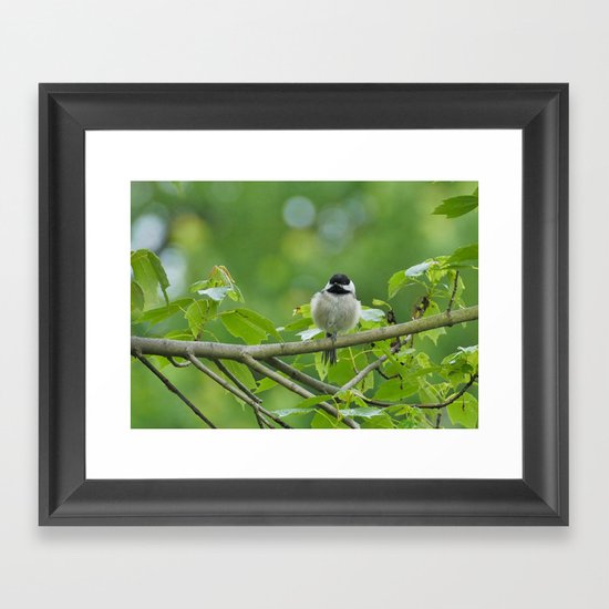 On a limb Framed Art Print