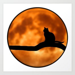 Moon Cat Art Print | Cat, Cute, Stars, Pet, Fur, Orange, Mom, Awesome, Graphicdesign, Circle 