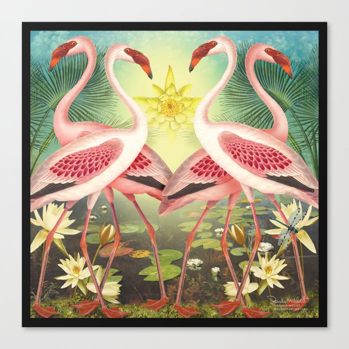 Flamingos with Water Lilies Canvas Print
