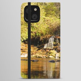 Waterfall iPhone Wallet Case