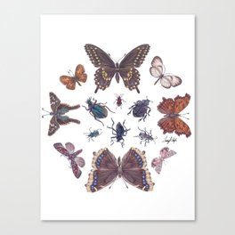 Mosaic of Bugs Canvas Print