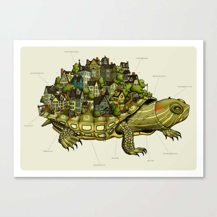 Turtle Town Canvas Print