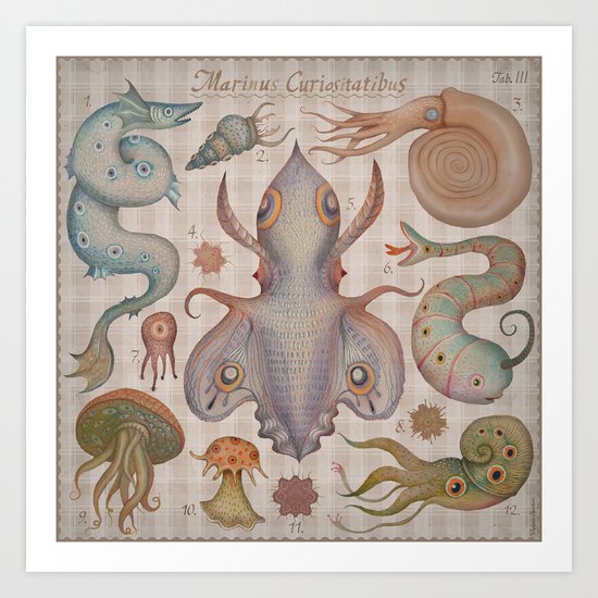 Marine Curiosities III Art Print