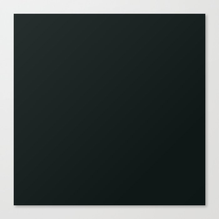 Light Black Canvas Print