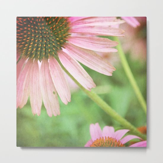 Care~Free Metal Print